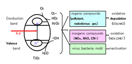 1662443416136892.png 图片40.png