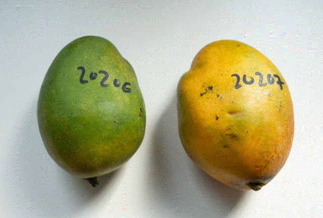 1662446549433271.png 图片64.png