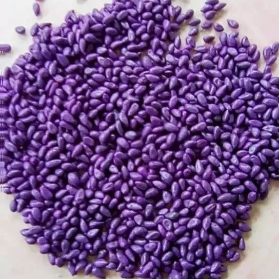 植物种子表面处理剂