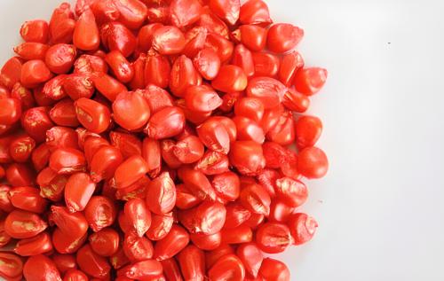 农业种衣剂 农业种衣剂